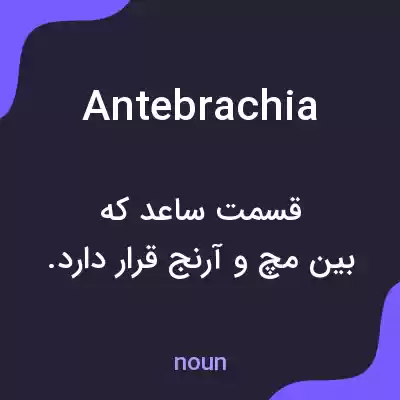 معنی antebrachia به فارسی معنی antebrachia به فارسی