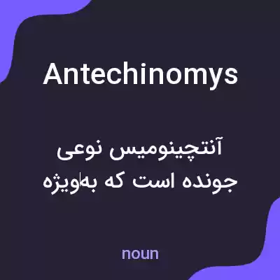 معنی antechinomys به فارسی معنی antechinomys به فارسی