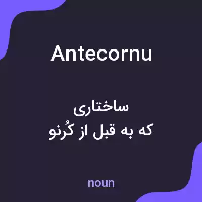 معنی antecornu به فارسی معنی antecornu به فارسی