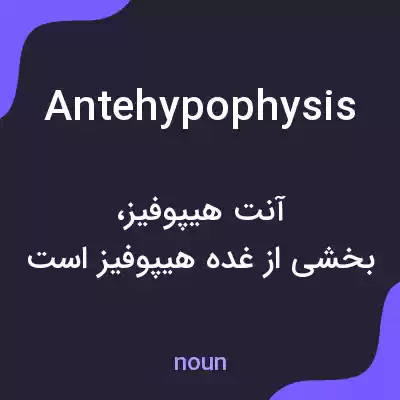 معنی antehypophysis به فارسی معنی antehypophysis به فارسی