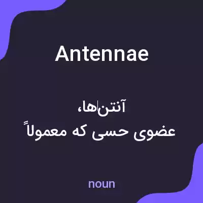 معنی antennae به فارسی معنی antennae به فارسی