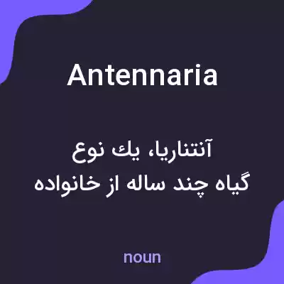 معنی antennaria به فارسی معنی antennaria به فارسی