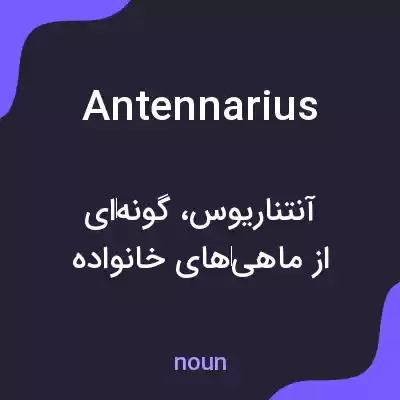 معنی antennarius به فارسی