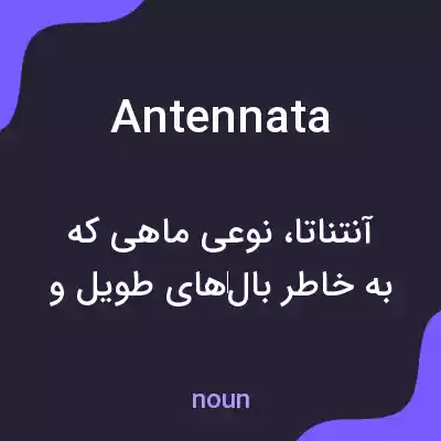 معنی antennata به فارسی معنی antennata به فارسی
