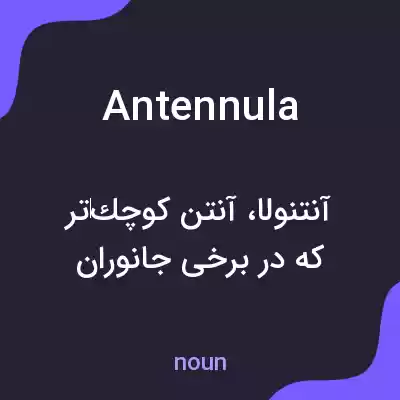 معنی antennula به فارسی معنی antennula به فارسی