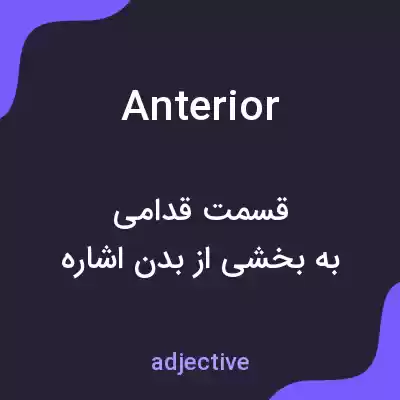 معنی anterior به فارسی معنی anterior به فارسی