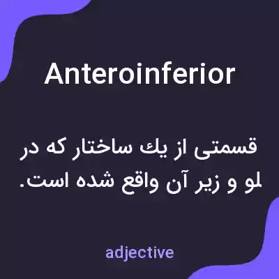 معنی anteroinferior به فارسی معنی anteroinferior به فارسی