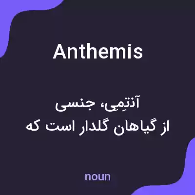 معنی anthemis به فارسی معنی anthemis به فارسی
