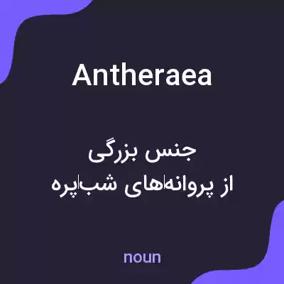 معنی antheraea به فارسی