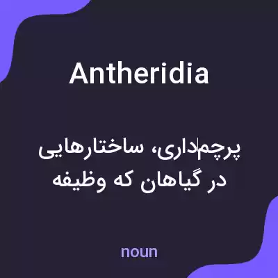 معنی antheridia به فارسی معنی antheridia به فارسی