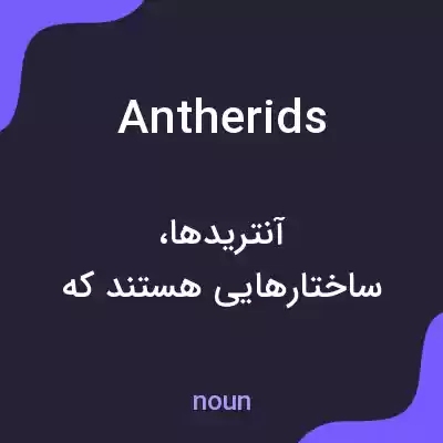 معنی antherids به فارسی معنی antherids به فارسی