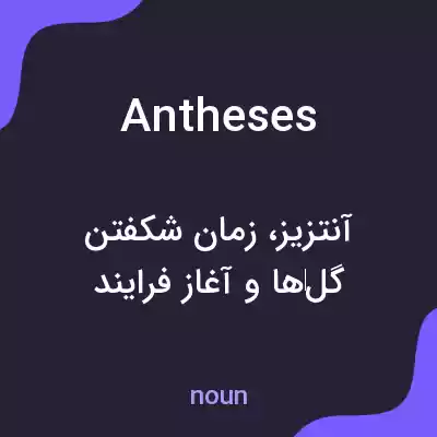 معنی antheses به فارسی معنی antheses به فارسی