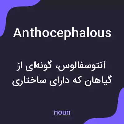 معنی anthocephalous به فارسی