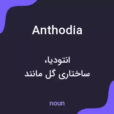 معنی anthodia به فارسی معنی anthodia به فارسی