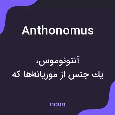 معنی anthonomus به فارسی معنی anthonomus به فارسی