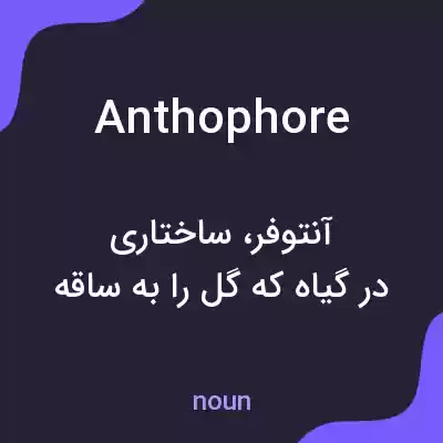 معنی anthophore به فارسی معنی anthophore به فارسی