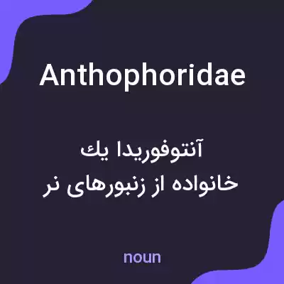 معنی anthophoridae به فارسی معنی anthophoridae به فارسی
