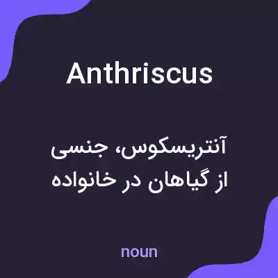 معنی anthriscus به فارسی معنی anthriscus به فارسی