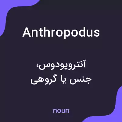 معنی anthropodus به فارسی معنی anthropodus به فارسی