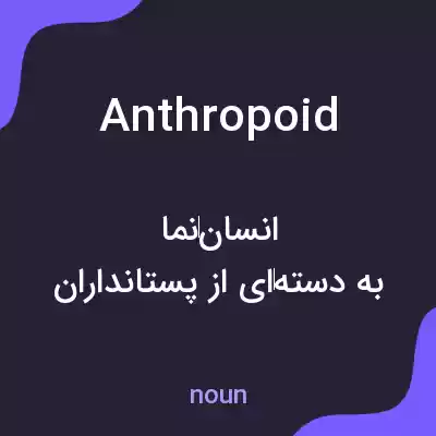 معنی anthropoid به فارسی معنی anthropoid به فارسی