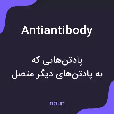 معنی antiantibody به فارسی