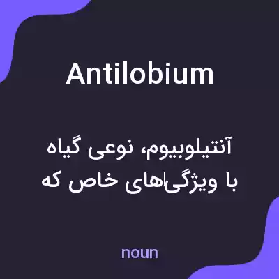معنی antilobium به فارسی معنی antilobium به فارسی