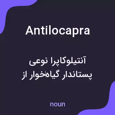 معنی antilocapra به فارسی معنی antilocapra به فارسی