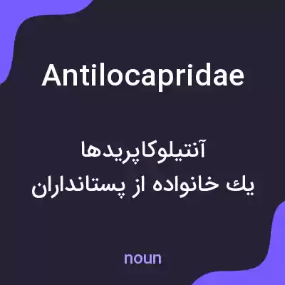 معنی antilocapridae به فارسی معنی antilocapridae به فارسی