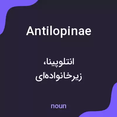 معنی antilopinae به فارسی معنی antilopinae به فارسی