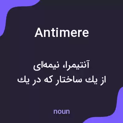 معنی antimere به فارسی معنی antimere به فارسی