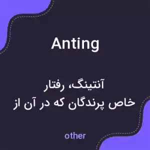 معنی anting به فارسی معنی anting به فارسی