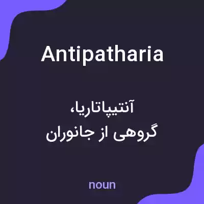 معنی antipatharia به فارسی معنی antipatharia به فارسی
