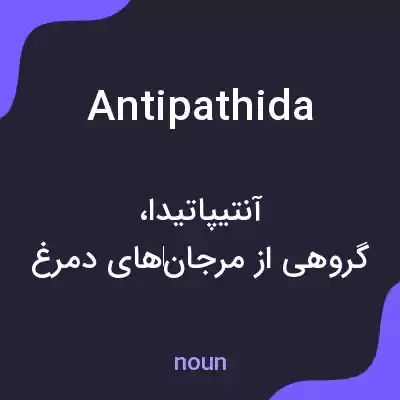 معنی antipathida به فارسی معنی antipathida به فارسی