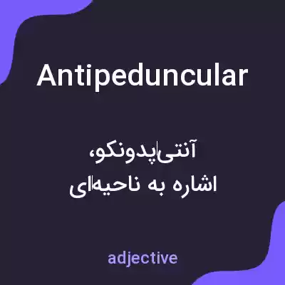 معنی antipeduncular به فارسی معنی antipeduncular به فارسی
