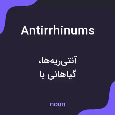 معنی antirrhinums به فارسی معنی antirrhinums به فارسی