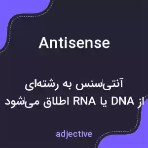 معنی antisense به فارسی معنی antisense به فارسی