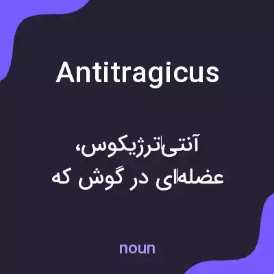 معنی antitragicus به فارسی معنی antitragicus به فارسی
