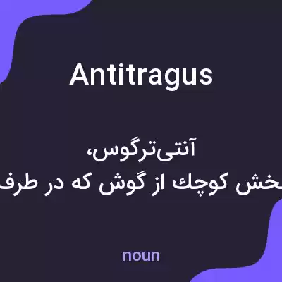 معنی antitragus به فارسی معنی antitragus به فارسی