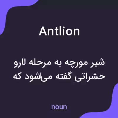 معنی ant lion به فارسی معنی ant lion به فارسی