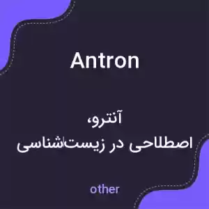 معنی antron به فارسی معنی antron به فارسی