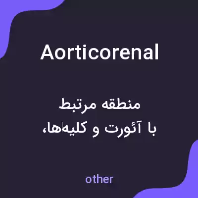 معنی aorticorenal به فارسی معنی aorticorenal به فارسی