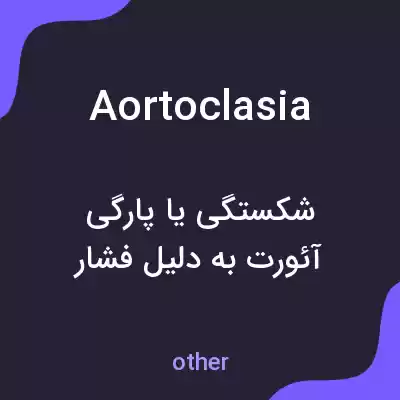 معنی aortoclasia به فارسی معنی aortoclasia به فارسی