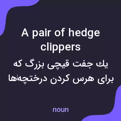 معنی a pair of hedge clippers به فارسی معنی a pair of hedge clippers به فارسی