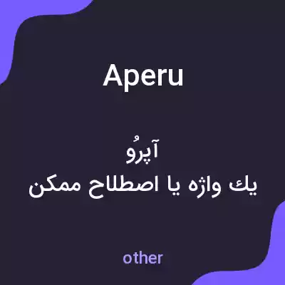 معنی aperu به فارسی معنی aperu به فارسی