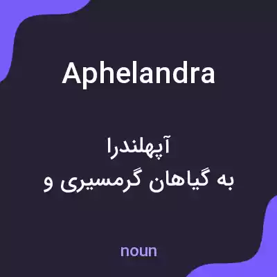 معنی aphelandra به فارسی