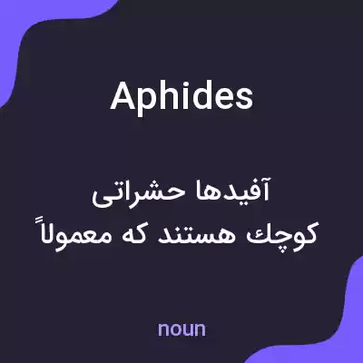 معنی aphides به فارسی معنی aphides به فارسی
