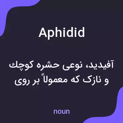 معنی aphidid به فارسی معنی aphidid به فارسی