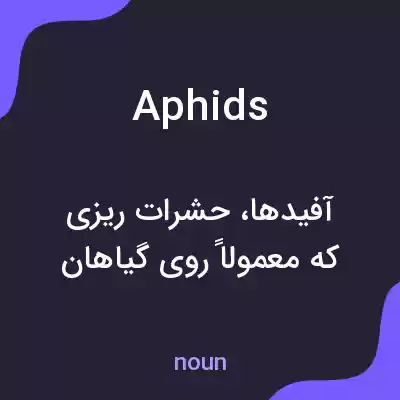 معنی aphids به فارسی معنی aphids به فارسی