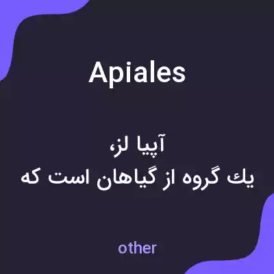 معنی apiales به فارسی