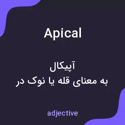 معنی apical به فارسی معنی apical به فارسی
